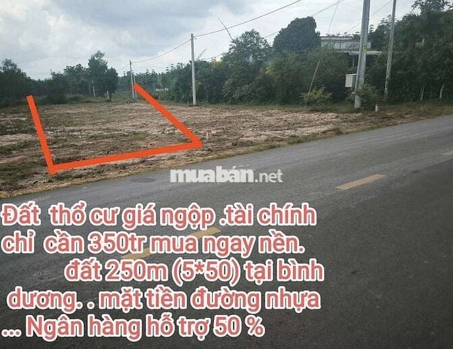 Bán đất ngộp giá  rẻ bình dương.  Giá 350 triệu . Diện tích 250m2.