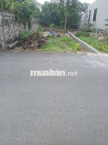 CẦN BÁN ĐẤT ĐÔNG CÁC ĐOÀN ĐÀO PHÙ CỪ