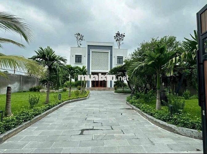 🏡✨ BIỆT THỰ GÓC 2 MẶT TIỀN – CỰC HIẾM TẠI TÂN THÔNG HỘI, CỦ CHI ✨🏡