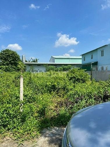 cần bán gấp lô đất hẻm bê tông oto đường bầu ngay trung tâm tân quy