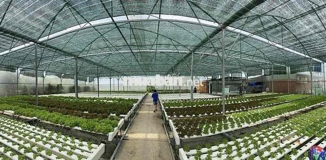 Bán đất tại Đường Vườn Thơm Bình Chánh Đã có sổ.