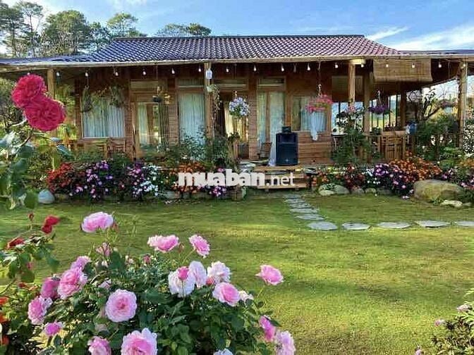 300m2 NGỘP CẦN BÁN GẤP TẠI TRUNG TÂM PHƯỜNG