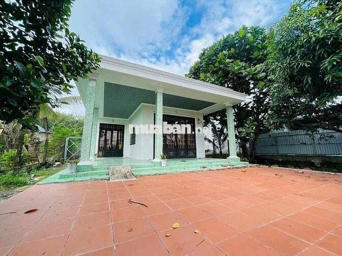🌿 BÁN NHÀ VƯỜN ĐẸP – GIÁ TỐT TẠI PHƯỚC THẠNH (XÃ THÁI MỸ MỚI), CỦ CHI