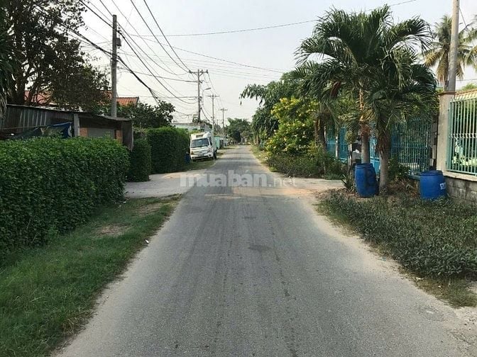 CHO THUÊ XƯỞNG THỊ TRẤN CỦ CHI NGAY KHU CN TÂY BẮC 1000M