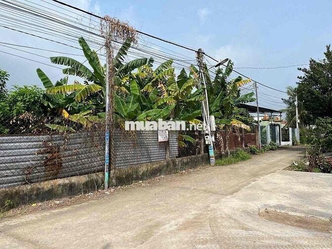 Bán Đất Nền Dân Gốc Tách Thửa Hàng F0. Phú Hội Nhơn Trạch đồng Nai