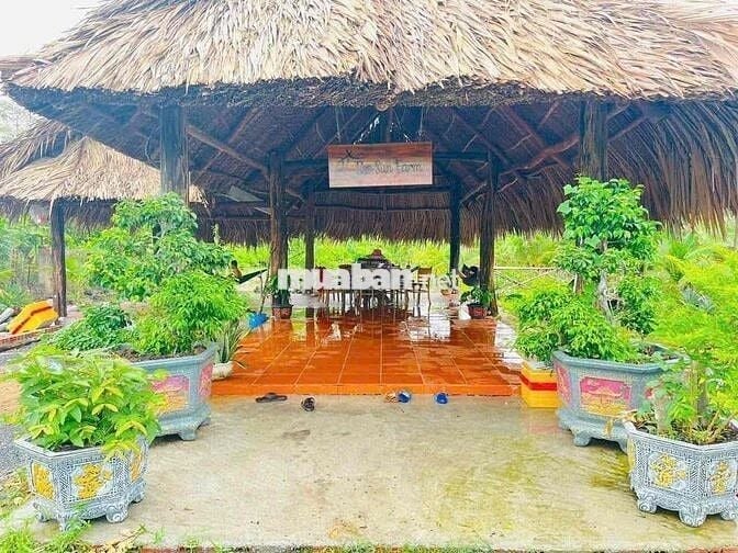 Mua Bán Nhà Đất Khu Vực Nhơn Trạch Theo Yêu Cầu Khách Hàng.