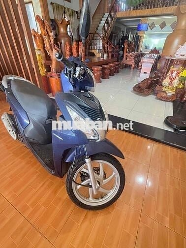 xe đẹp  đi  ve ve