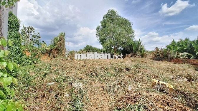 Bán Lô Đất 224m2 Kế Khu Hoàng Hoa Nguyễn Bình, Nhà Bè-Giá  25triệu/m2