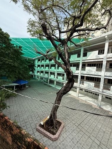 Cho Thuê nha nguyen can Q10 Mới xây giá 6tr gần BV Hòa Hảo