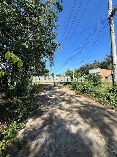Bán gấp lô đất 200m² sau chợ An Linh – giá chỉ 420 triệu, có thổ cư!