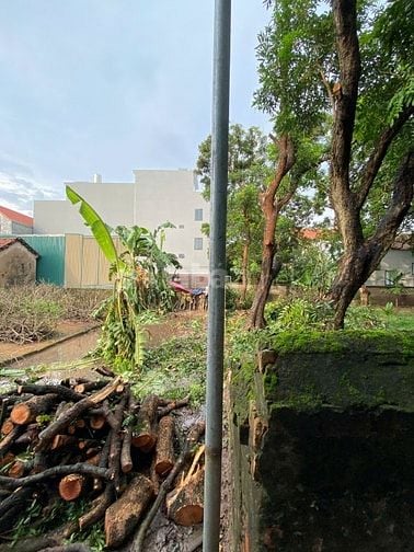 Cần bán đất thổ cư, sổ đỏ chính chủ 