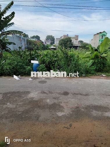 Bán cặp đất đường nhựa 10m thông,KDC Tân Đức,giai đoạn 1