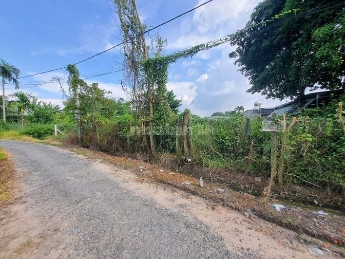 5x33 phường Gò Dầu. Đường nhựa, 620tr có TL 