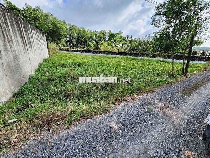 Bán 298m2 thổ cư, xã Hậu Nghĩa, mặt tiền ngang 22m