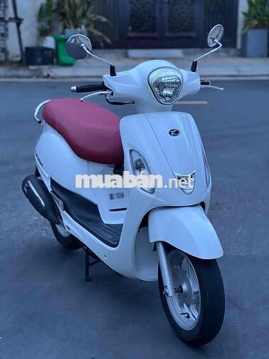 kimco like 50cc không bằng lái. cho học sinh
