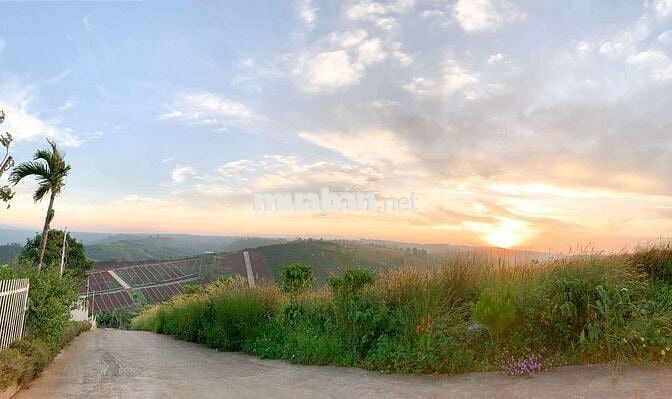 Chủ kẹt tiền cần bán mảnh đất view sông đẹp tại Di Linh, Lâm Đồng.
