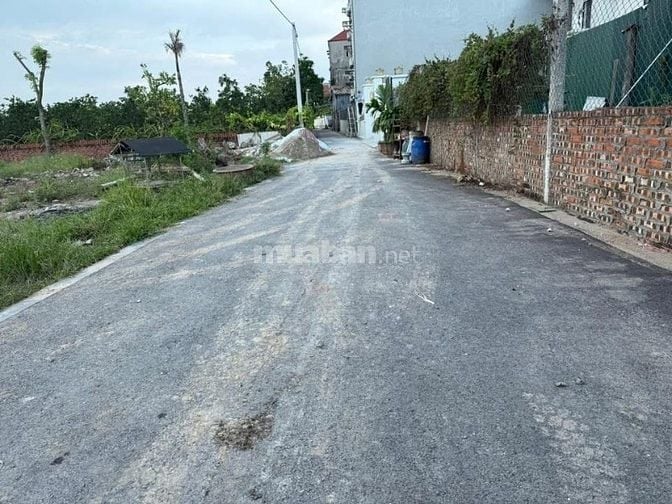 BÁN 46M SIÊU ĐẸP BẮC HỒNG, NGAY CẠNH KHU ĐẤU GIÁ VÀ VIN BẮC HỒNG