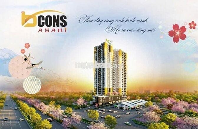 Nhượng cọc căn góc Bcons Asahi - không chênh giá