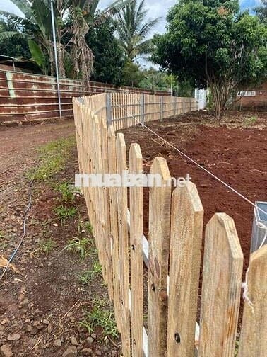 🏳️‍🌈 LÔ ĐẤT 2 MẶT TIỀN ĐỒI THÔNG 19/5 🏳️‍🌈