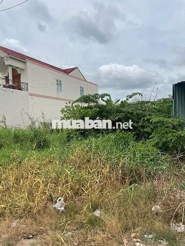 MT Phan Văn Tình , tt Thủ Thừa, thổ cư 100m2 giá 481tr. sổ riêng .