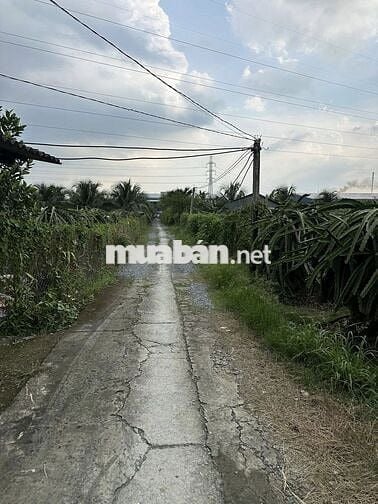 BÁN GẤP 2.344m² ĐẤT 2 MẶT TIỀN – GIÁ CHỈ 2 TỶ 350 TRIỆU đường oto