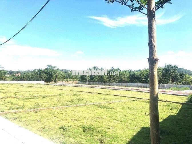 HÀNG HIẾM FO FUL THỔ CƯ TẠI HOÀ THẠCH, QUỐC OAI, HÀ NỘI, Chỉ 2,402 tỷ,