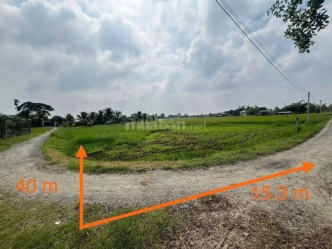 Công ty Đấu giá hợp danh Lam Sơn Sài Gòn THÔNG BÁO ĐẤU GIÁ TÀI SẢN