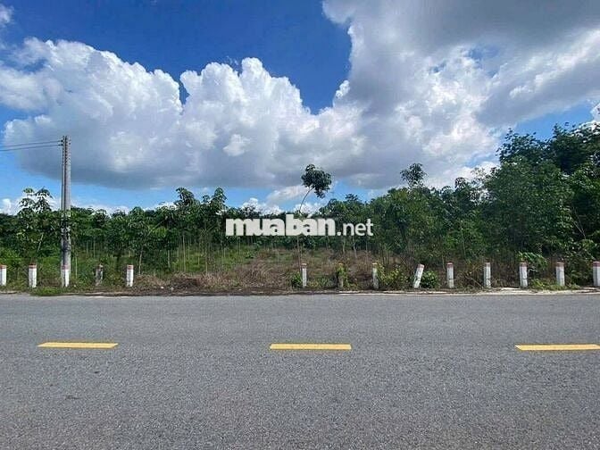 281m2 MT đường DH504(32m) kế ngay ủy ban Phước Thành Tp.HCM giá 590tr