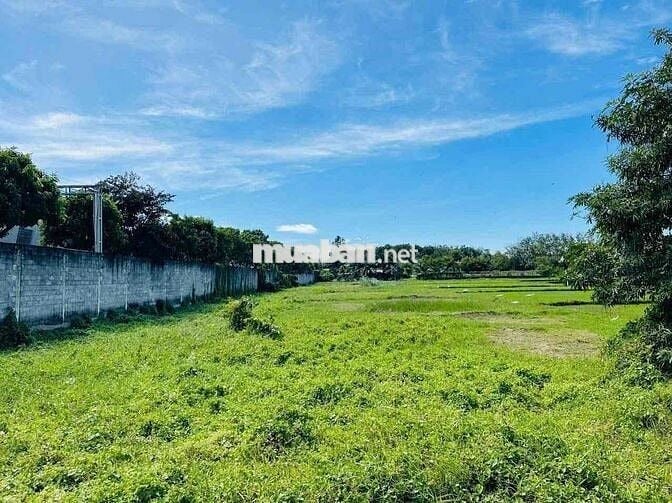 🌿 CƠ HỘI HIẾM – LÔ ĐẤT MẶT TIỀN TL2 QUÁ ĐẸP! 🌿