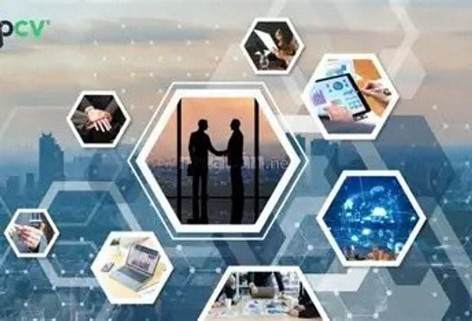 CẦN TUYỂN KINH DOANH BIẾT TIẾNG ANH