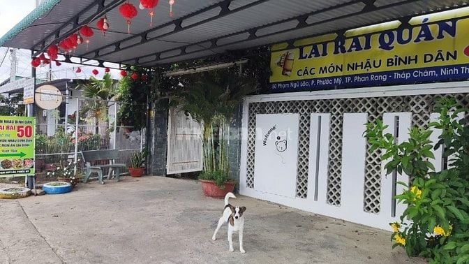 Mặt bằng thoáng mát, phù hợp kinh doanh cafe võng, quán ăn,quán nhậu