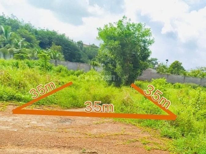 Công ty Đấu giá hợp danh Lam Sơn Sài Gòn THÔNG BÁO ĐẤU GIÁ TÀI SẢN
