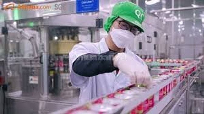Công ty thực phẩm và nước giải khát tuyển dụng LĐPT