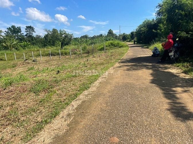 Bán Gấp Đất Cách Cao Tốc Dầu Giây Phan Thiết 190m. Giá 620Tr.