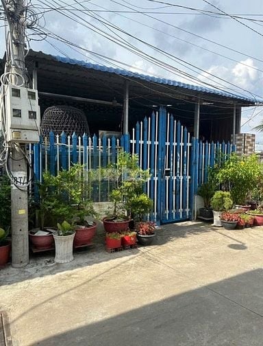 Cần Tiền Bán nhanh Căn nhà Ngay Bàu Tre Tân An Hội Củ Chi 105m2 SHR