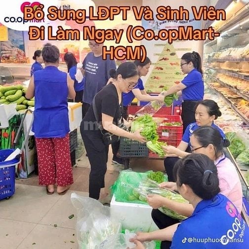 CHUỖI SIÊU THỊ COO.PMART CẦN BỔ SUNG NHÂN SỰ 