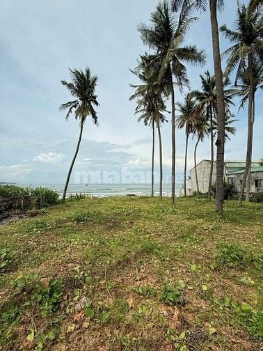 Ngộp Hạ từ 50 tỷ xuống 25 tỷ 1.660m2 2 Mặt Tiền Lành Resort Phan Thiết