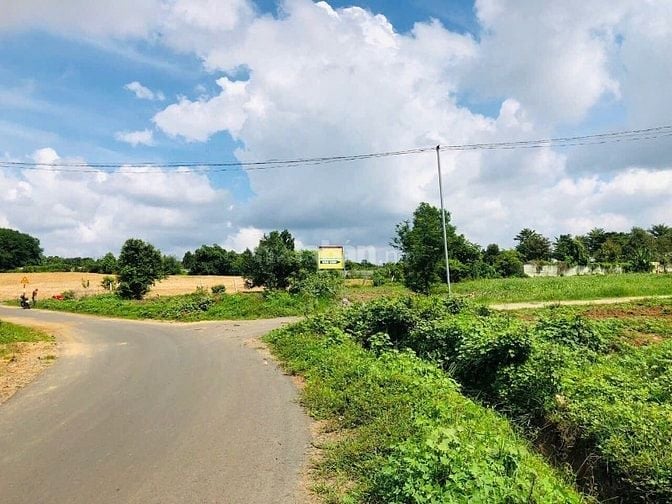 Bán đất 8,2Ha làm việc chính chủ
