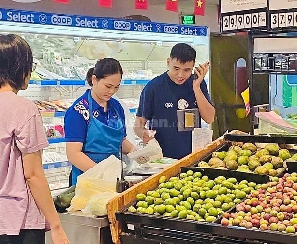 Tuyển Gấp Nhân Viên Trung Tuổi Phụ Quầy Hàng Làm Việc Tại Siêu Thị