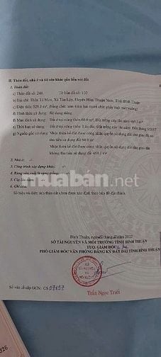 Bán đất ở và trồng cây lâu năm