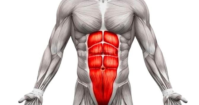 Tạ Tay Lục Giác – Dụng Cụ Tập Gym Hiệu Quả Tại Nhà