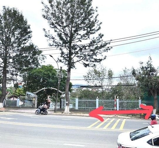 Đất thổ cư mặt tiền đường lớn trung tâm p7 đà Lạt sổ hồng riêng thổ cư