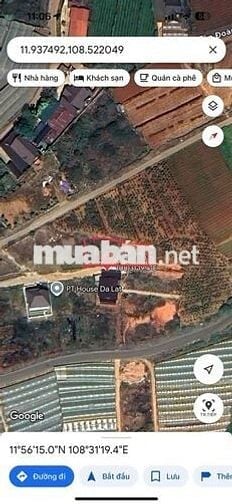 đất nền biệt thự đà Lạt full thổ cư