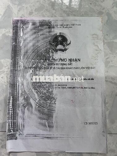 Bán đất có sẵn nhà cấp 4 và trang trại nuôi heo