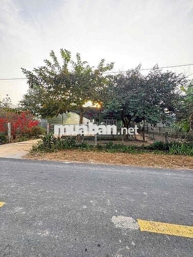 Cần Bán nhà vườn Bình Dương 1200m2