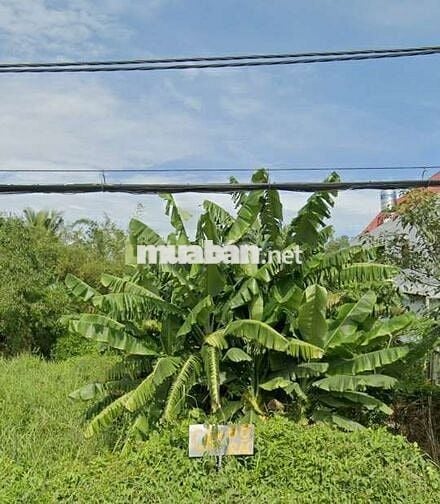 Xoay vốn kinh doanh bán nhanh lô đất Bình chánh 115,5m2