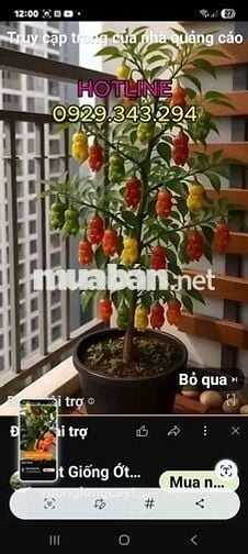 Cho thuê 1 phòng nhà mặt tiền đường Hồng Lạc