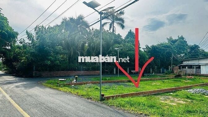 Bán lô đất Đ.Trần Tử Bình gần chợ Việt Kiều DT 100m2 giá 1 tỷ. SHR