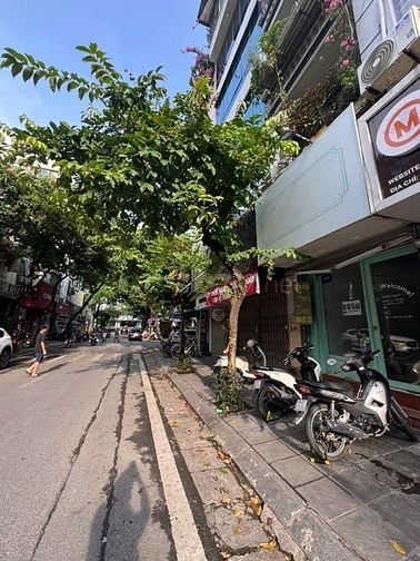 Cho thuê mặt bằng kinh doanh mặt phố Sơn Tây Ba Đình Hà Nội 