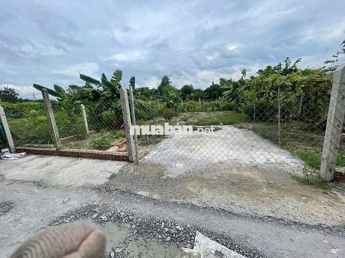 BÁN ĐẤT: 135m2 thổ cư hẻm 1/ QL22 Tân An Hội mới - SHR